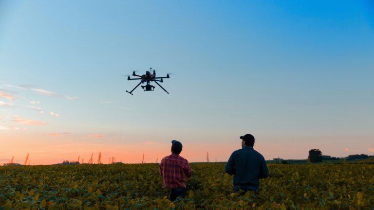 Drones láser para proteger aves y prevenir enfermedades