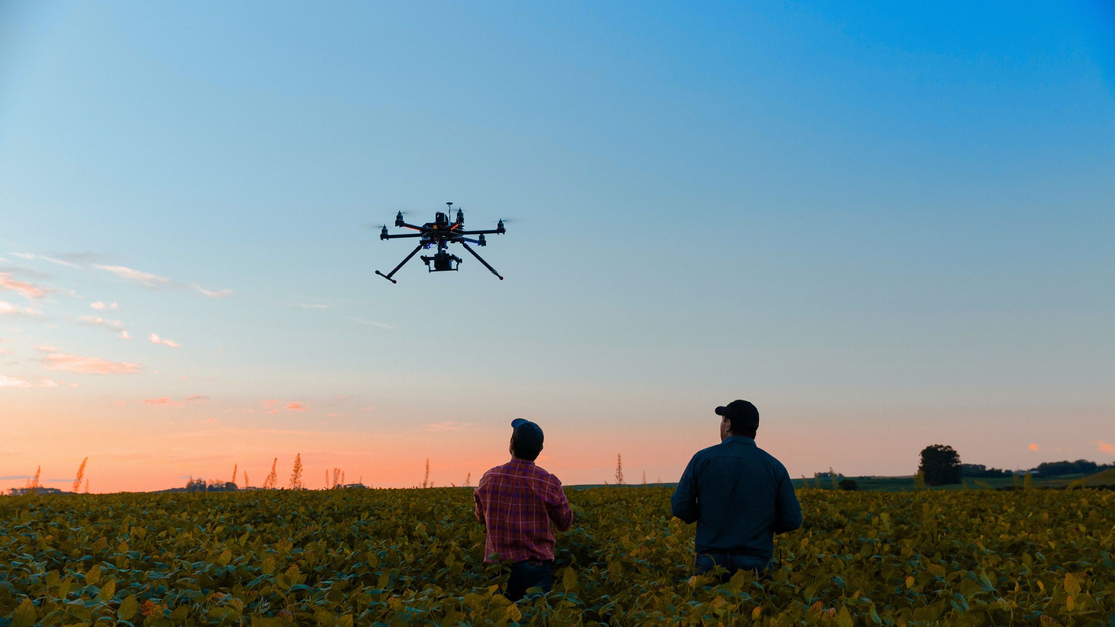 Drones láser para proteger aves y prevenir enfermedades